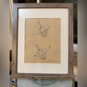 Signed Shark Bones Drawing Nancy Elizabeth Grossman 15.75” x 12.5” Framed Sketch